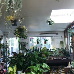 Meet your Posher, Naenae